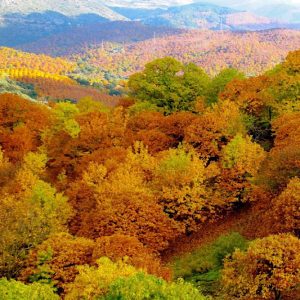 Granada, Andalusia, Cortijo-Bella-Vista